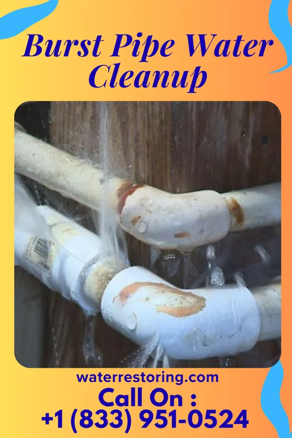 Burst Pipe Water Cleanup in South Plainfield, NJ