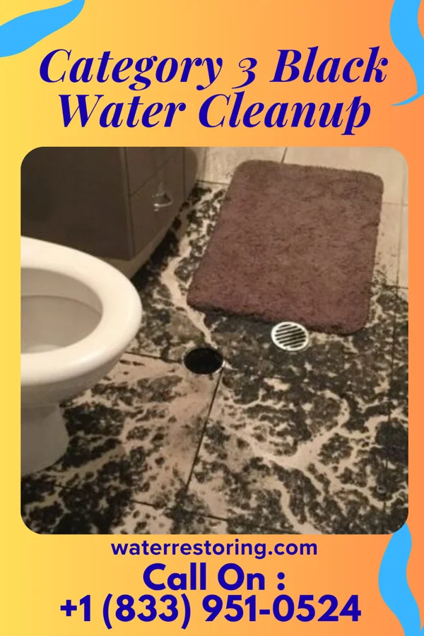 Category 3 Black Water Cleanup in South Plainfield, NJ