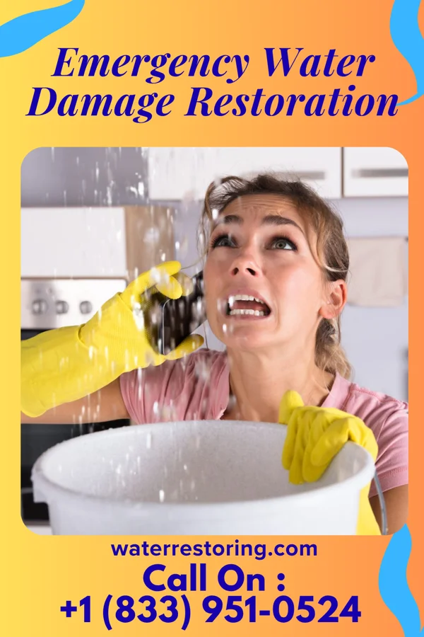 Emergency Water Damage Restoration in South Plainfield, NJ