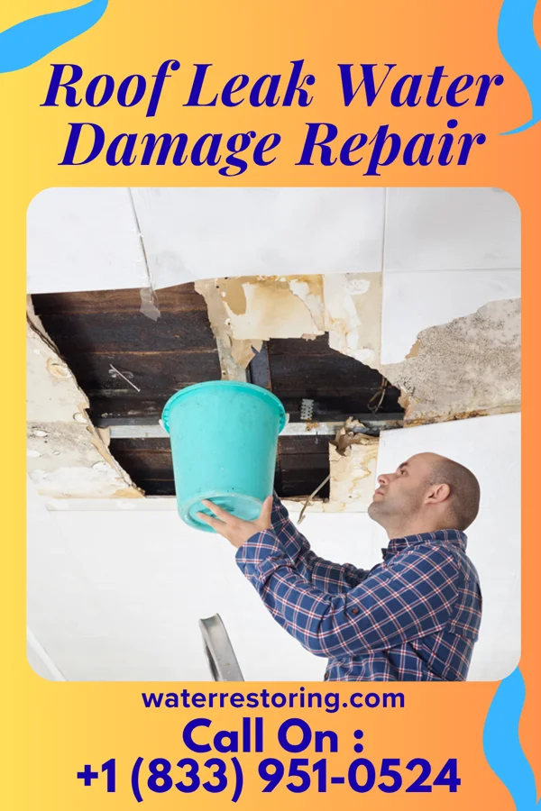 Roof Leak Water Damage Repair in South Plainfield, NJ
