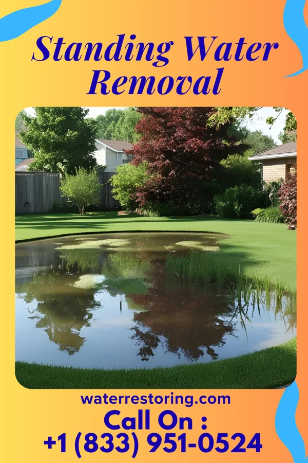 Standing Water Removal in South Plainfield, NJ